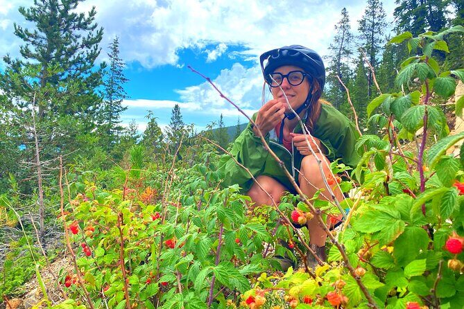 Golden to Red Rocks Electronic Bike Tour - Who is This Tour Best Suited For?