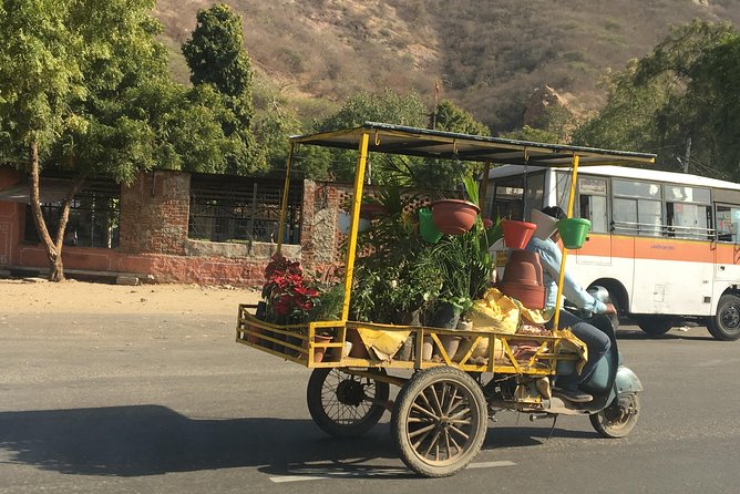 Golden Triangle - Accompanied 5-Day Budget Tour - Itinerary Overview