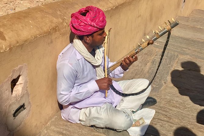 Golden Triangle - Accompanied 5-Day Budget Tour - Meals and Dining