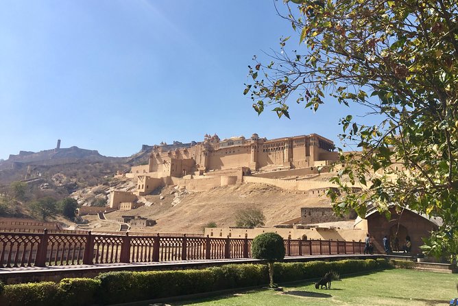 Golden Triangle - Accompanied 5-Day Budget Tour - Budgeting and Cost Breakdown