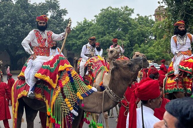 Golden triangle & The Burning city Varanasi 9 Nights - Transportation and Logistics: What to Expect