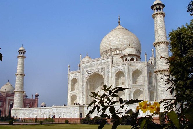 Golden Triangle Tour - Customer Reviews and Ratings