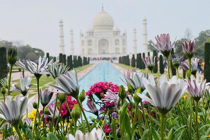 Golden Triangle Tour by Car in 3N & 4D - Booking and Cancellation Policy