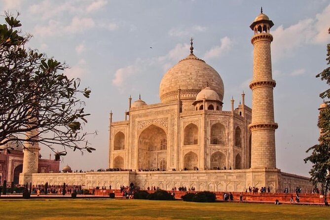 Golden Triangle Tour in India - Accommodation and Dining Options