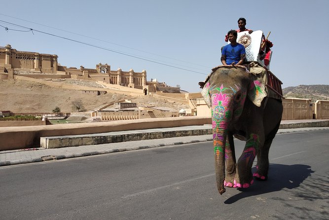 Golden Triangle Tour Of India - Contact and Support