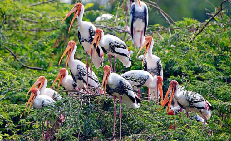 Golden Triangle Tour With Bharatpur - Tour Overview