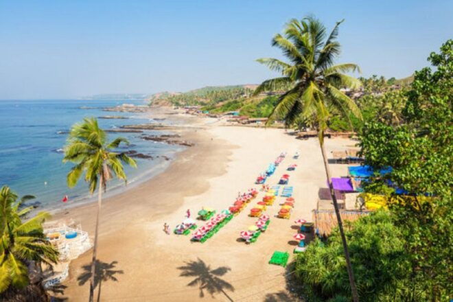 Golden Triangle Tour With Goa 8 Days/7nights - Inclusions and Services