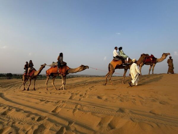 Golden Triangle Tour With Jodhpur & Jaisalmer 9Nights/10Days - Languages Offered