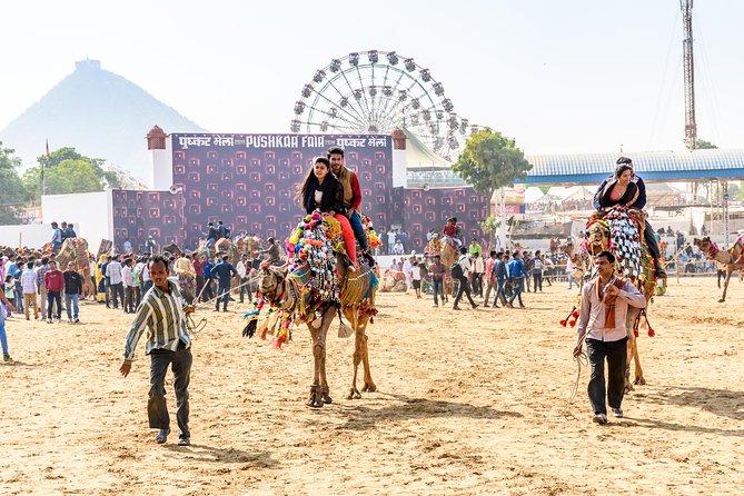 Golden Triangle With Pushkar 6 Days Private Tour From Jaipur - Itinerary Overview