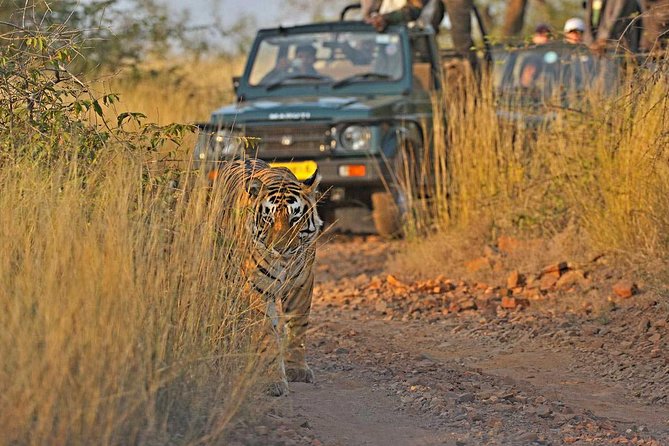 Golden Triangle With Ranthambore Tour - Tour Overview