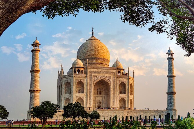 Golden Triangle With Wildlife and Royal Castle Stay - Wildlife Encounters