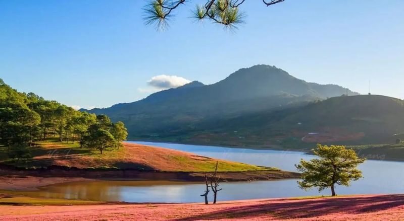 Golden Valley Ticket in Da Lat - Golden Valley at a glance