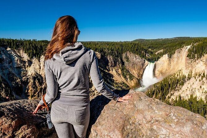 Golden Yellowstone Portraits - Good To Know