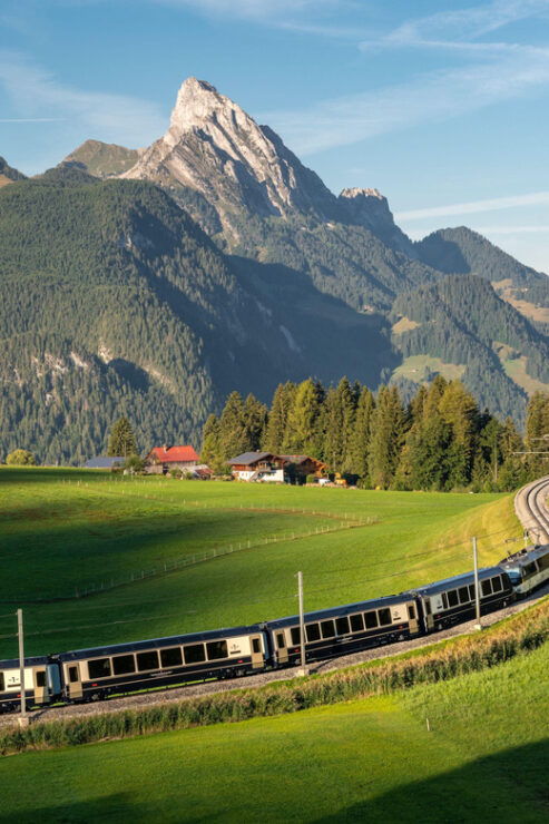 Goldenpass Express: Scenic Train From Montreux to Gstaad - Good To Know