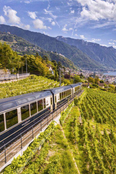 Goldenpass Express: Scenic Train From Montreux to Spiez - Booking and Reservation Policies