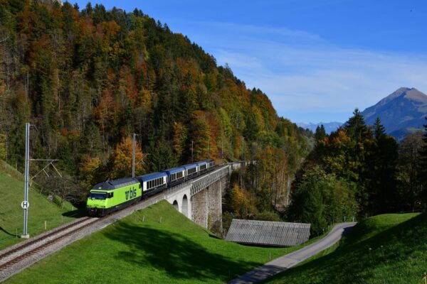 Goldenpass Express: Scenic Train From Montreux to Spiez - Frequently Asked Questions