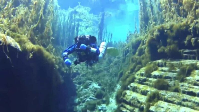 Golem/Durres: Ionian Sea Scuba Diving Experience - Good To Know