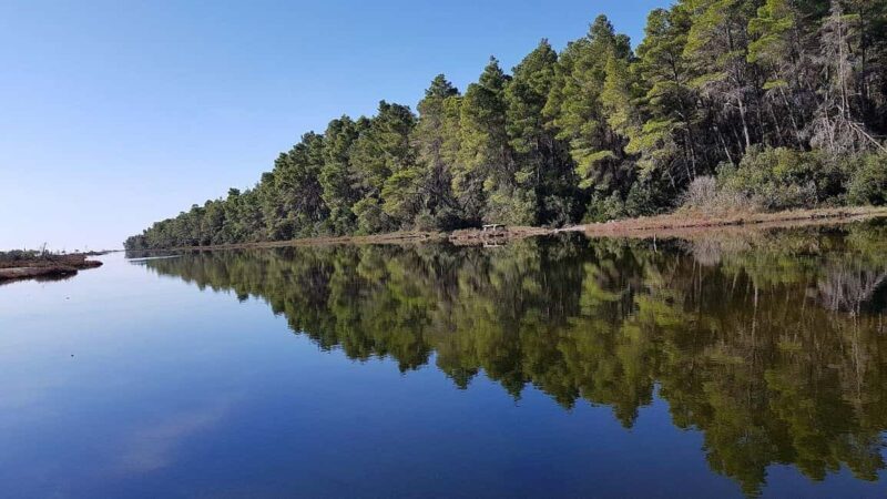 Golem/Durrës: Karavasta Lagoon Tour - Introduction: What Makes the Karavasta Lagoon Tour Interesting?
