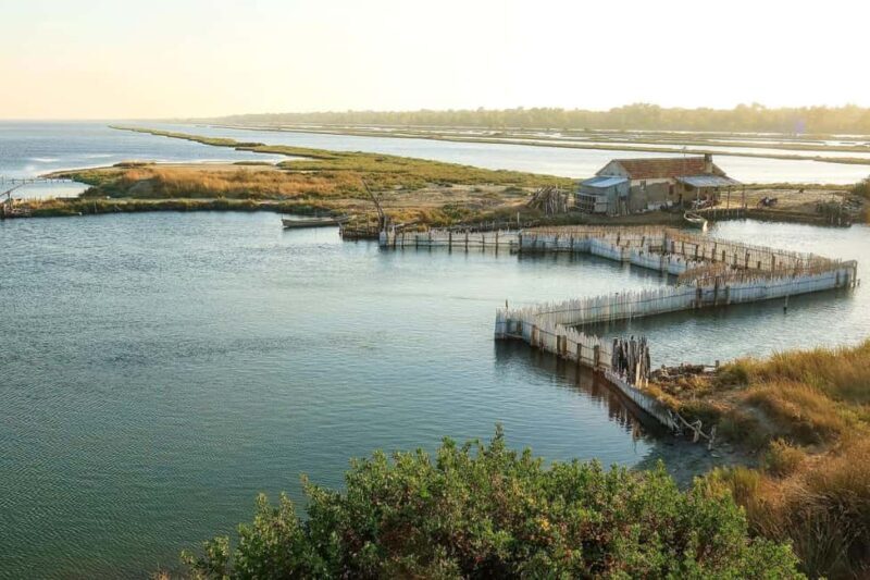 Golem/Durrës: Karavasta Lagoon Tour - What to Expect: Practical Details