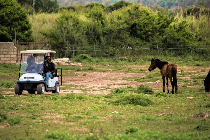 Golf Car Hire in Porto Conte Natural Park - Accessibility Information