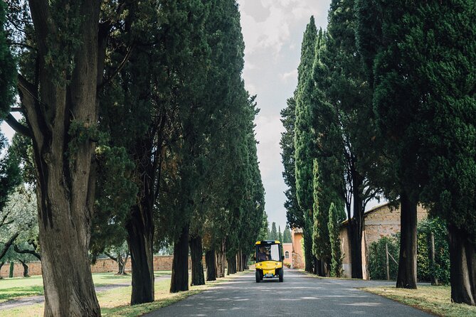 Golf Cart Driving Tour in Rome: 2.5 Hrs Catacombs & Appian Way - Customer Testimonials