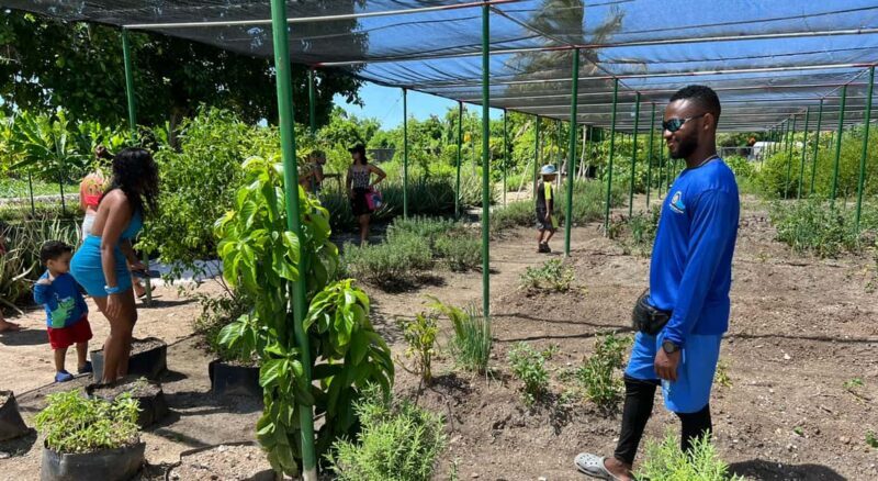 Golf Cart Eco Tour Half Day Tour - Good To Know  