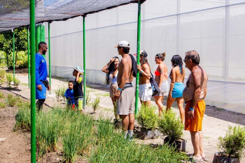 Golf Cart Eco Tour Half Day Tour - FAQ  