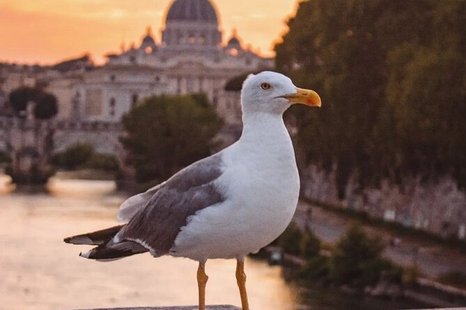 Golf Cart Private Twilight Tour in Rome - Frequently Asked Questions