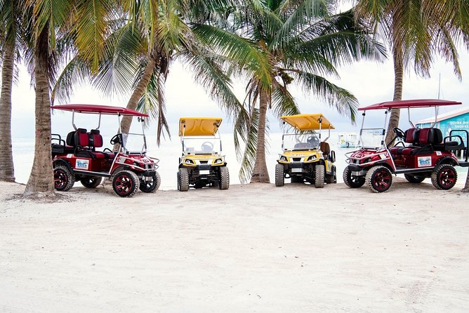 Golf Cart Rental in Belize - Inclusions and Exclusions
