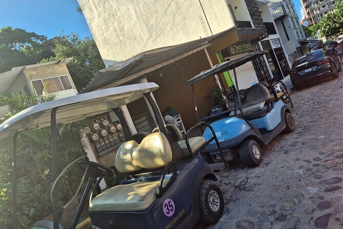 Golf Cart Rental in Sayulita - Who Should Consider This Experience?