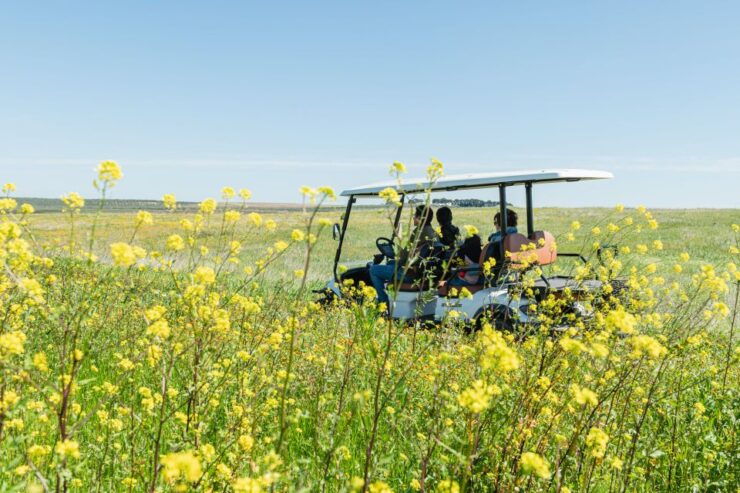 Golf Cart Tour and Aperitif in the Ancient Masseria - Activity Details