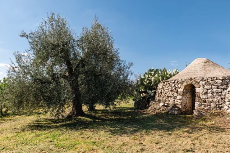 Golf Cart Tour and Aperitif in the Ancient Masseria - Experience Description