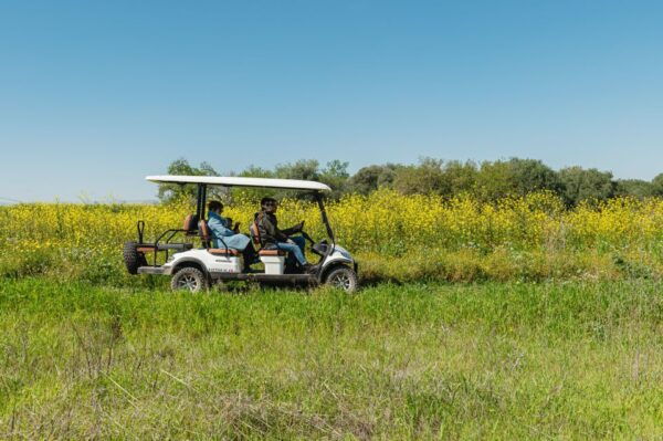 Golf Cart Tour and Aperitif in the Ancient Masseria - Price and Duration