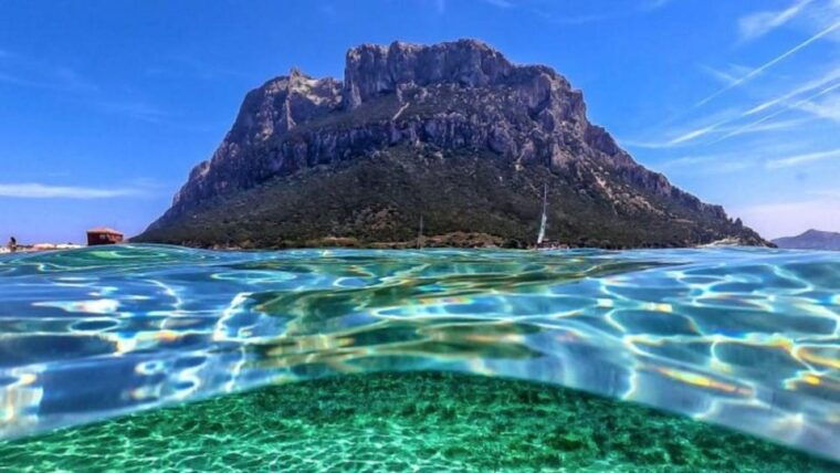 Golfo Aranci: boat tour in the Tavolara Protected Area - Return Journey and Extra Stops