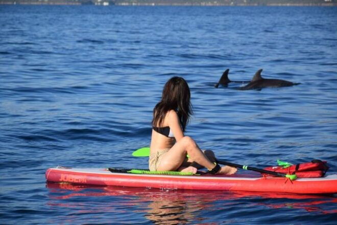 Golfo Aranci: Dolphin Watching SUP Paddleboard Tour - The Sum Up