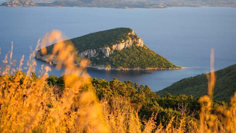 Golfo Aranci: Guided panoramic hike with aperitif and photos - Who Should Consider This Tour?