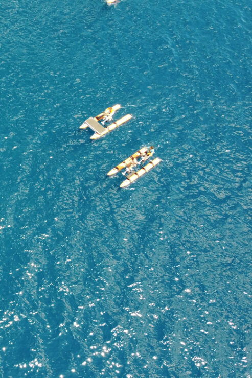 Golfo Aranci: Hydrobike Experience With Aperitif & Dolphins - Good To Know