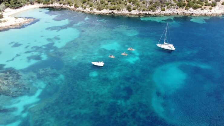 Golfo Aranci: Hydrobike Experience With Aperitif & Dolphins - Dolphin Spotting Opportunity