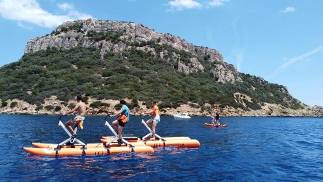 Golfo Aranci: Hydrobike Experience With Aperitif & Dolphins - Tour Inclusions and Highlights