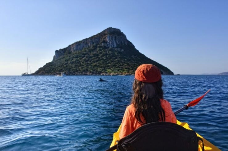 Golfo Aranci: Kayak Tour With Dolphins and Aperitif - Experience Highlights