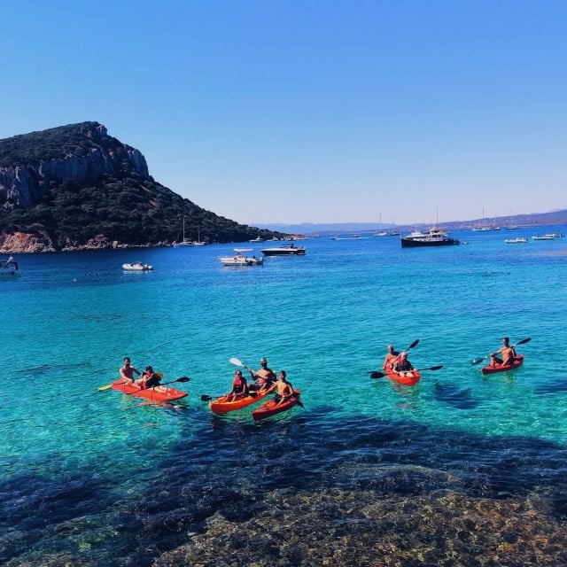 Golfo Aranci: Kayak Tour With Dolphins and Aperitif - Meeting Point
