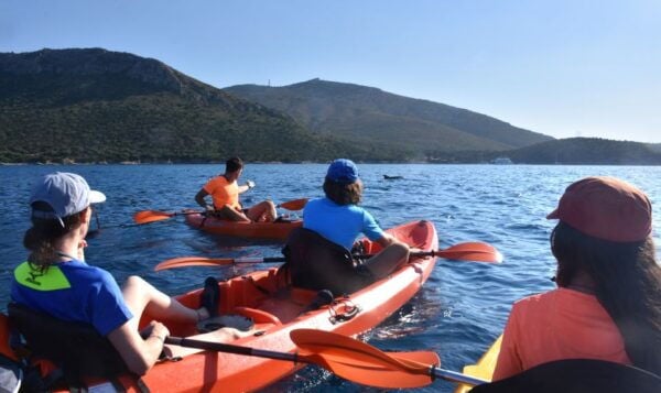 Golfo Aranci: Kayak Tour With Dolphins and Aperitif - Additional Information