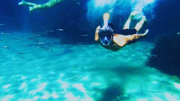 Golfo Aranci: Kayak Tour With Dolphins and Aperitif - The Sum Up