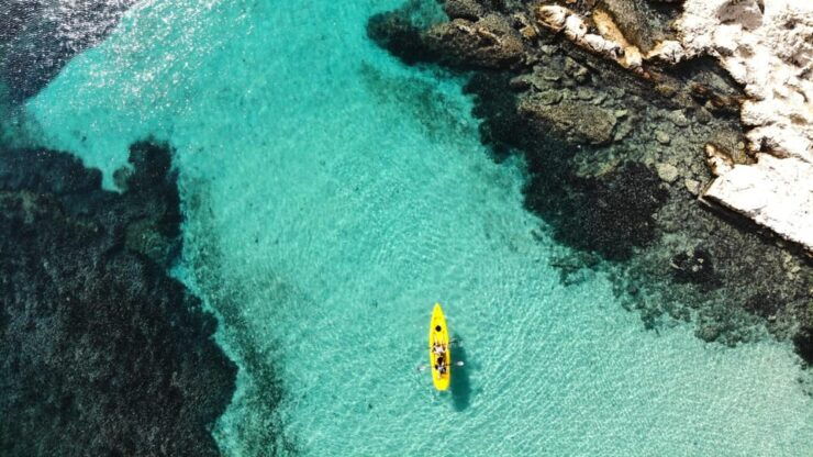 Golfo Aranci: Small Group Kayak Tour With Aperitif &Dolphins - Good To Know