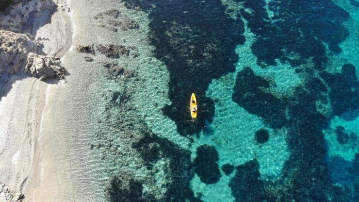 Golfo Aranci: Small Group Kayak Tour With Aperitif &Dolphins - Itinerary and Highlights