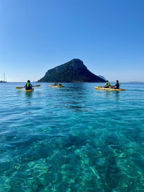 Golfo Aranci: Small Group Kayak Tour With Aperitif &Dolphins - Inclusions and Equipment