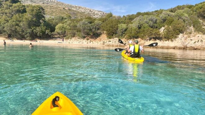 Golfo Aranci: Small Group Kayak Tour With Aperitif &Dolphins - Customer Reviews