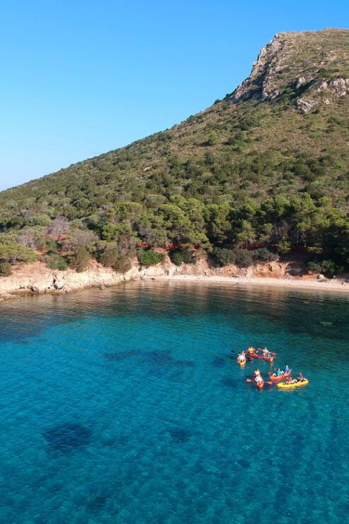 Golfo Aranci: Sunrise Dolphin Kayak Tour With Breakfast - Good To Know