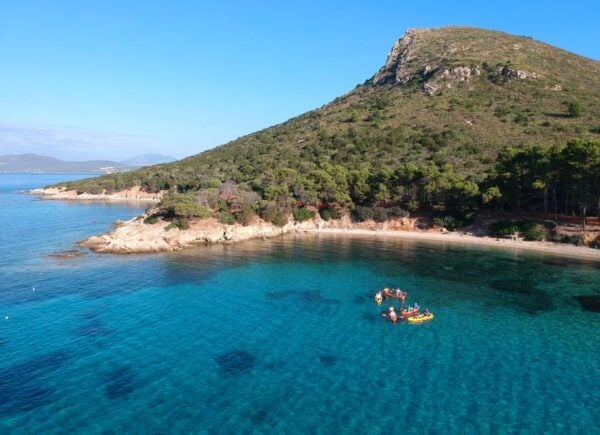Golfo Aranci: Sunrise Dolphin Kayak Tour With Breakfast - Customer Reviews