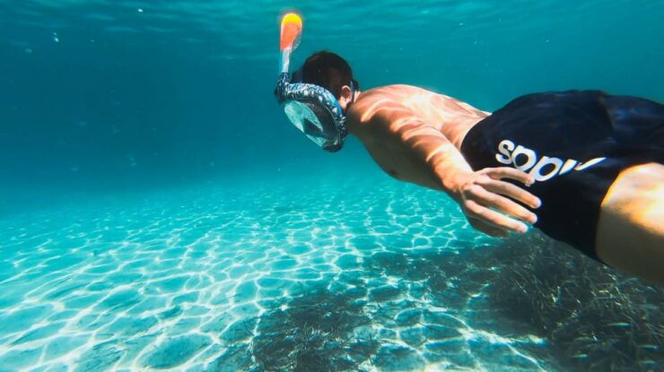 Golfo Aranci: Sunset Dolphin Kayak Tour With Aperitif - Good To Know